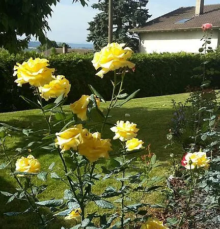 Appartement Alpes Et *