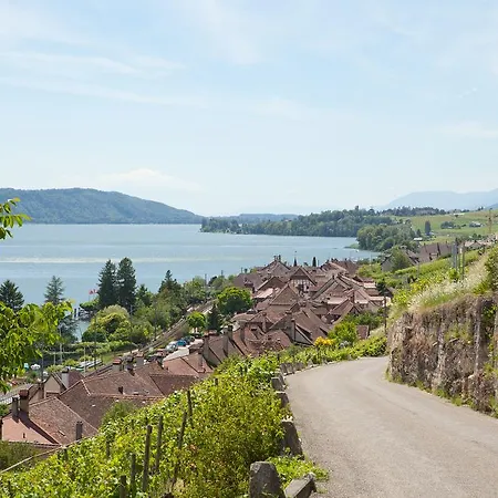 Alpes Et Lac Apartment La Neuveville