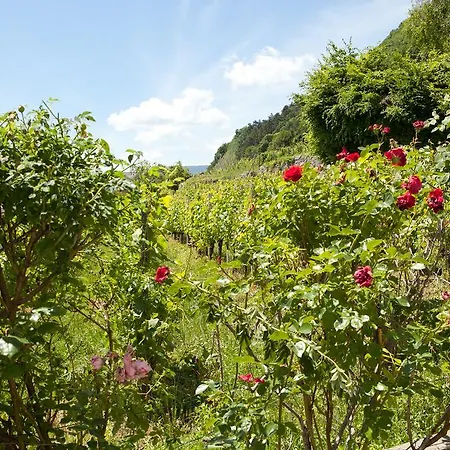 Appartement Alpes Et