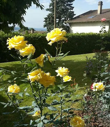 Apartamento Alpes Et *